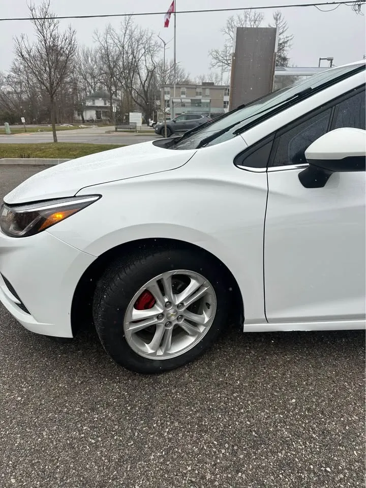 affordable car rental